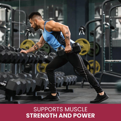 Micronised Creatine Monohydrate - Unflavoured